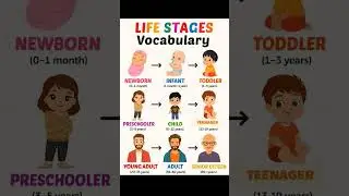 life Stages vocabulary by#narayannayak #englishshorts #english #vocabs