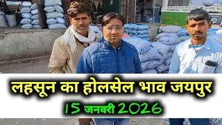 लहसून भाव 15 जनवरी 2026 ! today Garlic rate ! लहसून का भाव जयपुर ! लहसुन की तेजी मंदी रिपोर्ट