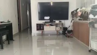 DVD screensaver livestream hits the corner