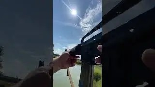 Dissipator , colt 605 clone dealing with turtles that invaded my pond