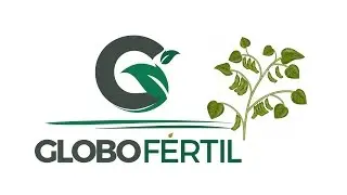 Tratamento fullgreen&reg; mais &oacute;leo de Neem para feij&atilde;o (1)
