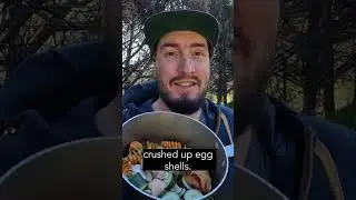 ЧТО СЛУЧИЛОСЬ С ПЧЕЛОЙ? #шорты