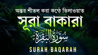 Surah Baqarah سورة البقرة| আল বাকারা।Best Emotional Quran Tilawat |
