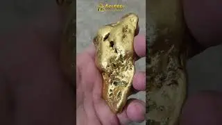 Gold Nuggets | Large One