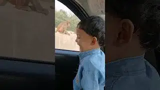 Best time 🙈🐒🐵🐒 #activity #funny #child