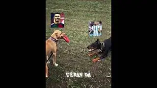 Ronaldo🐐#EpicShort #FirstShort #ViralMoment #LegendaryStart #EpicVibes #MustWatch #NewCreator #Epic