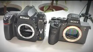 NIKON D780 vs SONY ALPHA 7R IV