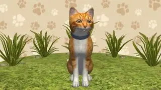 Bermain game Cat Simulator kita akan menjadi kucing teman teman
