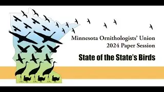 Minnesota Ornithologists' Union 2024 Business Meeting