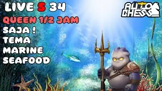 PATCH BARU ! MARI MAKAN SEAFOOD ! AUTO CHESS INDONESIA