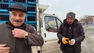 ÇORUM SUNGURLU TAVUK PAZARI 15 OCAK 2026
