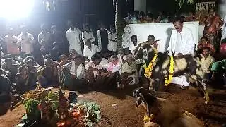 Korada Suryanarayana garu || yadhav charitra || kaki palem village || Ph : 8096331441 || thank you❤️