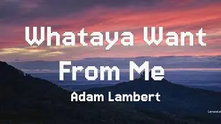 Adam Lambert - Whataya Want from Me (Real-time Lyrics & Chords)