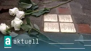 oeins aktuell | 13.02.2026