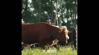 Adaptive Grazing - Different Perspectives
