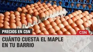 PRECIOS en C5N: CU&Aacute;NTO CUESTA el MAPLE de HUEVO
