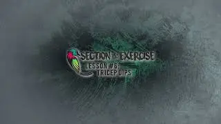 Tricep Dips Exercise - Homework Hub - Section 3 - Lesson 6 -