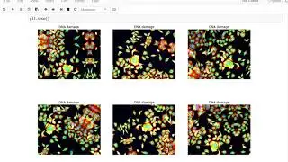CSCI-E89 Deep Learning Case Study in Biology - full demo