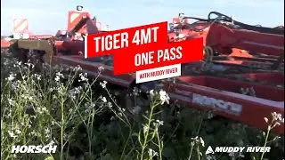 Tiger 4MT in cover crops