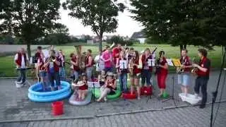 Musikverein Walddorfhäslach - ColdWaterChallenge