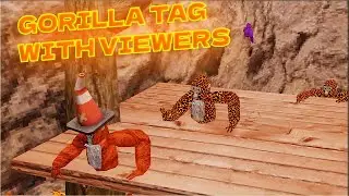 🔴GORILLA TAG LIVE!🔴🫵Playing MiniGames & Virtual Stump🫵 #gorillatag #livestream