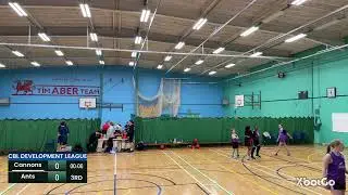 Ceredigion Basketball Development League