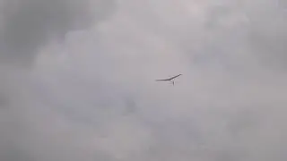 elf dlg glider no slope so just hand tossing about