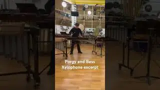 Bread and Butter of Orchestral Xylophone Excerpts ｜Porgy and Bess  #Percussion #Xylophone #orchestra