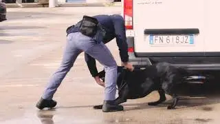 SQUADRA CINOFILI POLIZIA DI STATO | Ricerca persone scomparse | Quattrozampexpo 2018