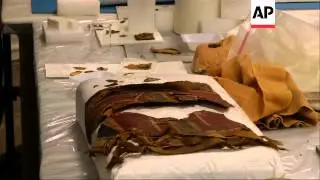 Conservation work has started at Chicago's Field Museum on the 2,500-year-old mummy of a 14-year-old