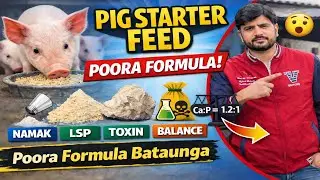 Pig Starter Feed Ka Complete Formula | 1&ndash;25 Kg Piglet Feeding Guide