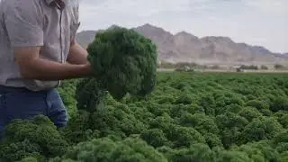 SAVRPak | The World of Produce Will Never Be The Same