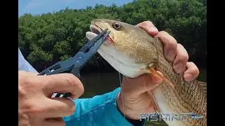 Inventive Fishing Spotlight: Smith Locking Alum Pliers