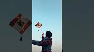 Majhaa 🔥Bir Ramgarhia Kite Flying 🔥Bir Ramgarhia New Instagram Reels #shorts #lohri #kite  #trending