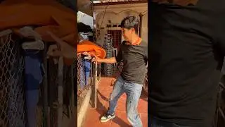 Truy t&igrave;m khẩu n&aacute; vip 10 bị mất t&iacute;ch lực cực mạnh v&agrave; c&aacute;i kết #videoshort #funny