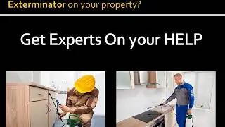 Auburn Pest Control Pros - Cockroach Exterminator Service in Auburn WA