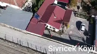 Dursun yesil sivricek koyu