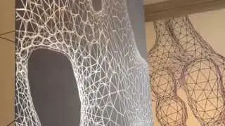 Geometric Biomorphic Wall Drawing Installation Timelapse at PMA