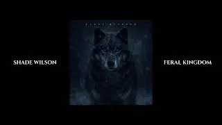 Shade Wilson - Cosmic Light