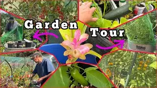Garden Tour Methods How to Grow Tomatoes Peppers Cucumber Squash Flowers Herbs Container Gardening