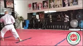 Aprenda o kata Junro Godan