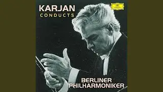 Stravinsky: Concerto in D for String Orchestra, K75: I. Vivace