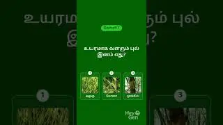 Tamil environment , questions ans answers
