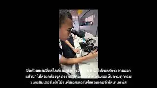 31 มกราคม ค.ศ. 2026