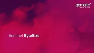 How to Issue & Deploy Sentinel LDK SL-UserMode Keys