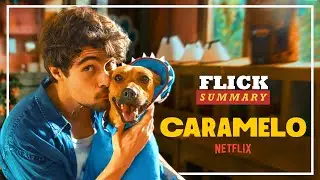 Caramelo - The Brazilian Dog that's Making the World Cry | Flick Summary (Movie Recap)