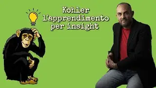 K&ouml;hler: l'apprendimento per insight
