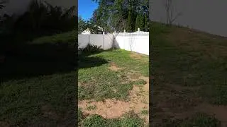 Pondless Waterfall Buildout