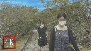 【4K】Walk through Okinawa's world heritage site known for its cherry blossoms, Non-stop Walk, JAPAN