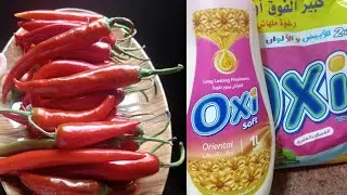 تاني فديو من تنظيفات رمضان 🌙يالا قومي اتشجعي معايا +تفريز هريسه الشطه 🌶️لطول السنه 